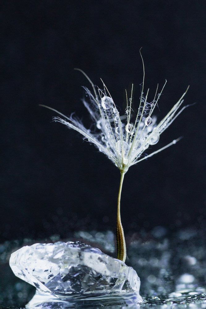 Photograph by Мария Паина