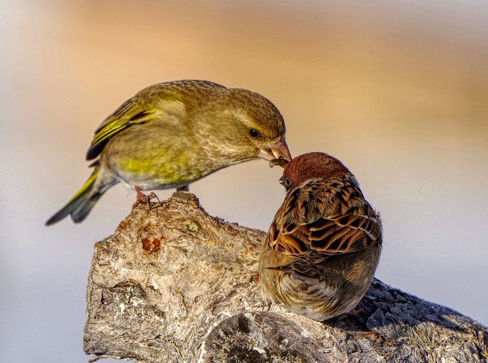 Photograph by Алексей Зенякин