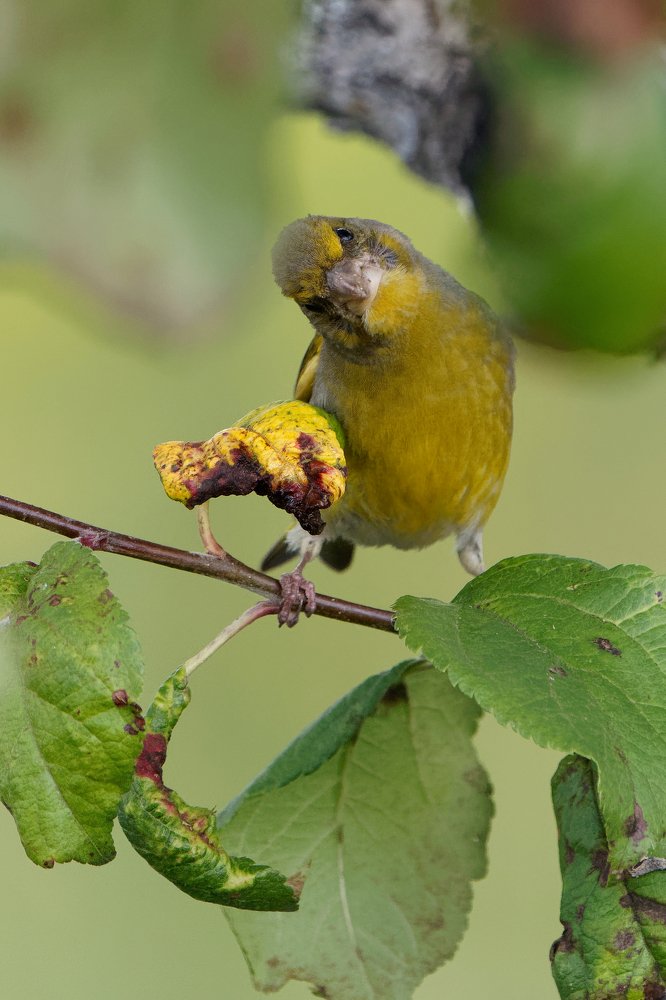 Photograph by Алексей Зенякин