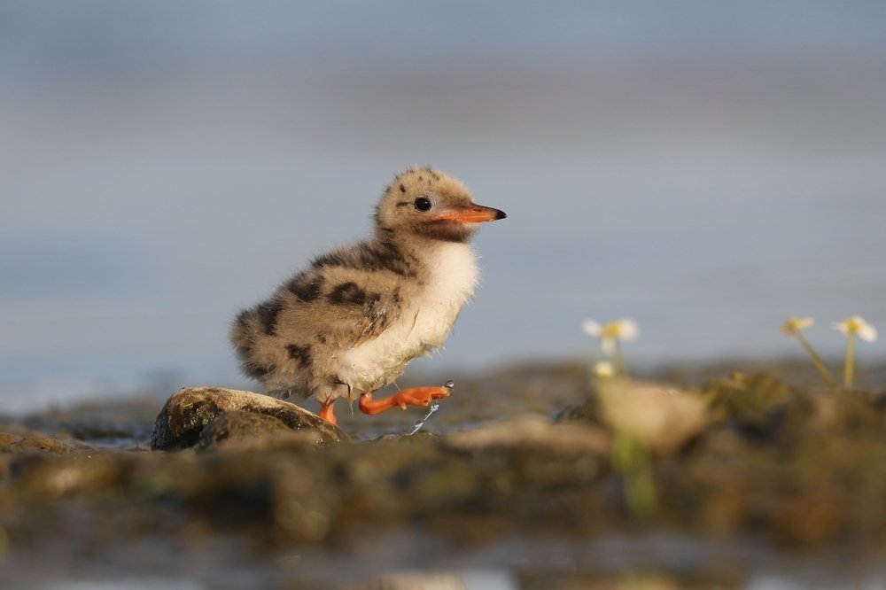 Photograph by Piotr Warzecha