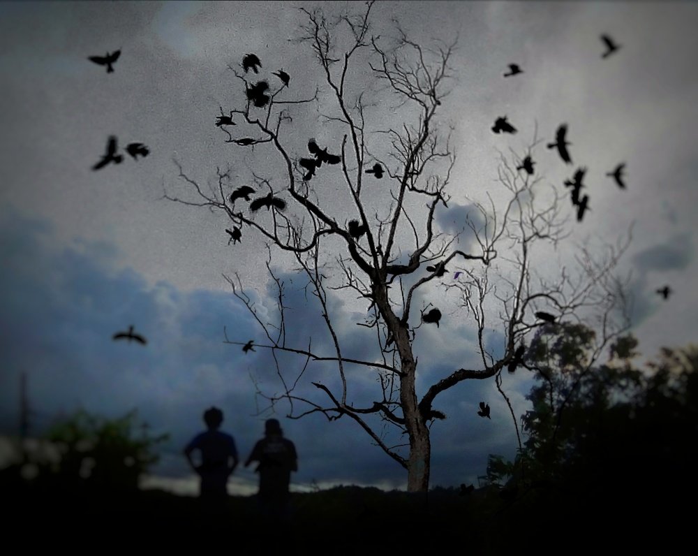 Photograph by Jamil sharafat