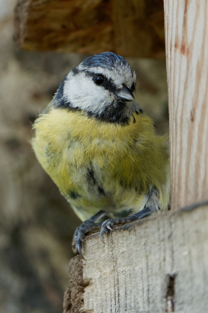 Photograph by Алексей Зенякин