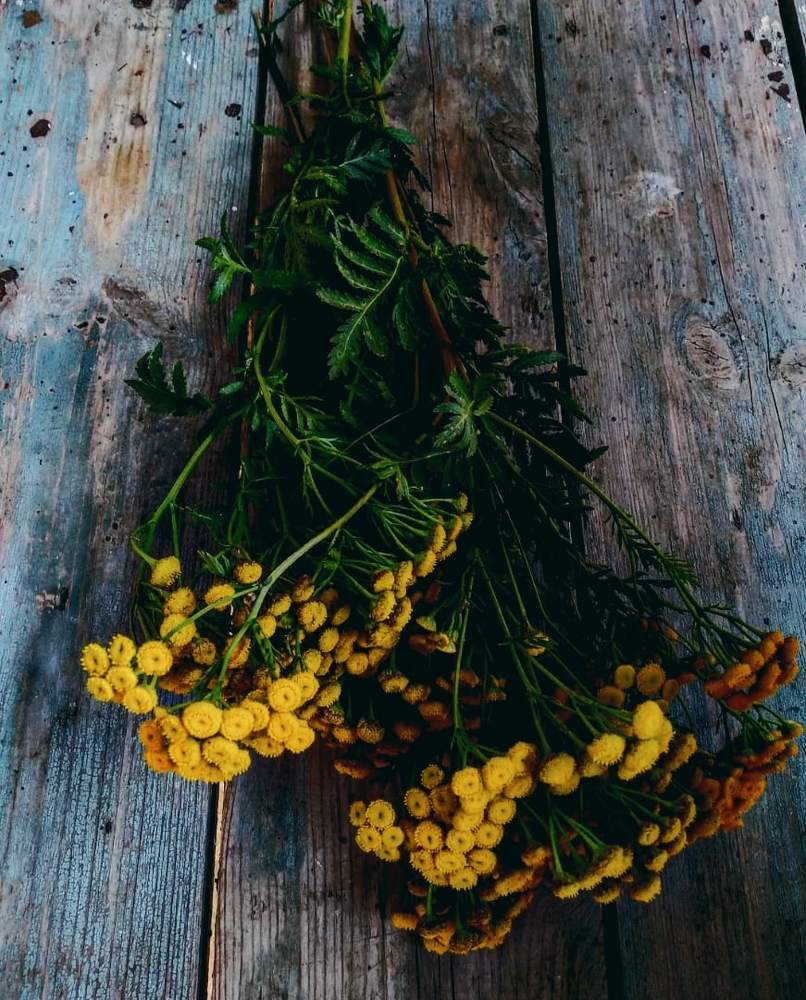 Photograph by Татьяна Рябова