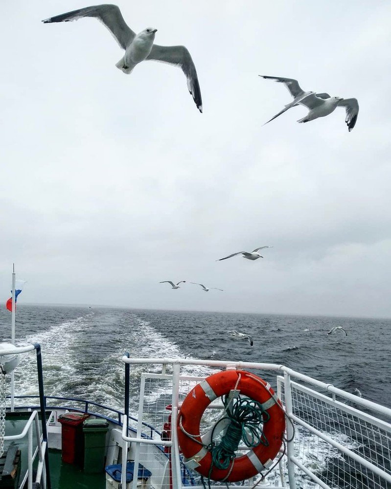 Photograph by Татьяна Рябова