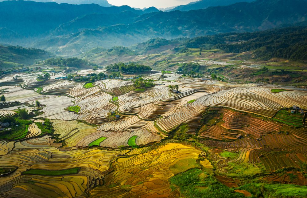 Фотография автора quach nam