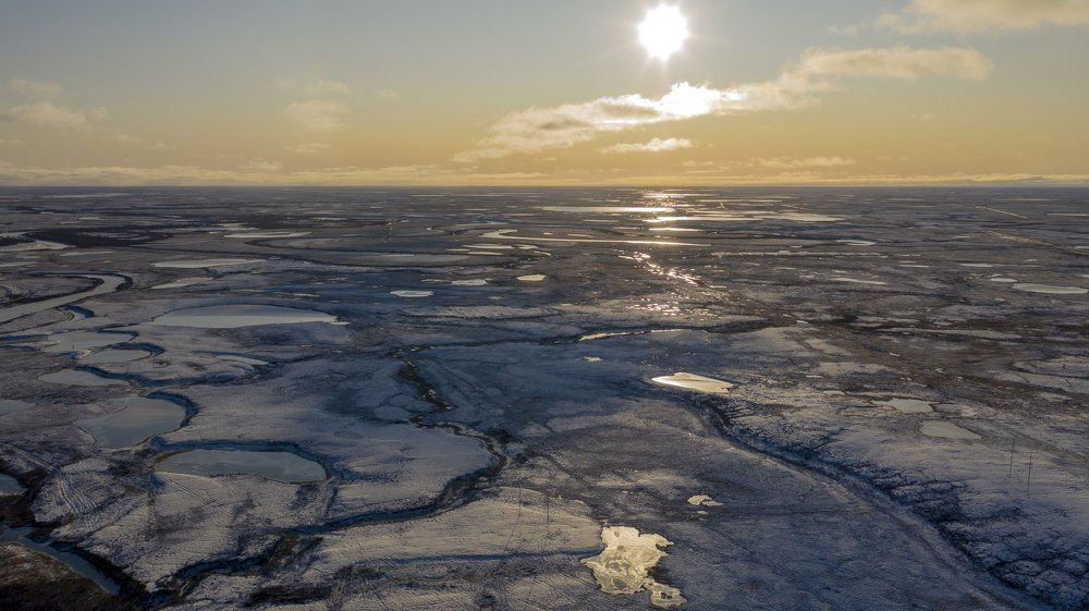 Фотография автора евгений митрошин