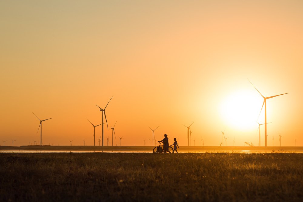 Photograph by Максим Шинкаренко