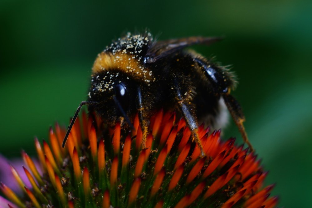 Photograph by Александр Кизим