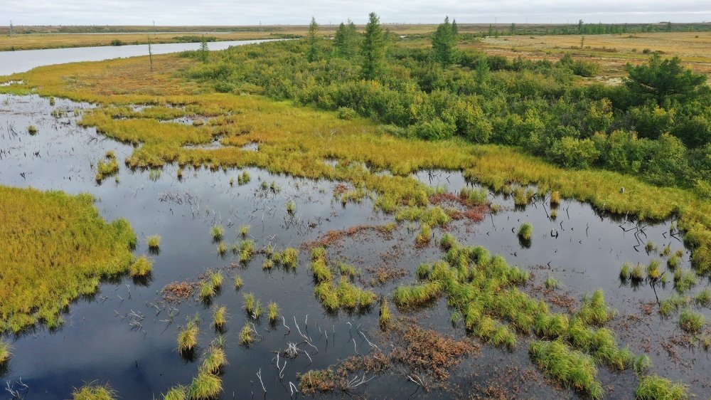 Фотография автора евгений митрошин
