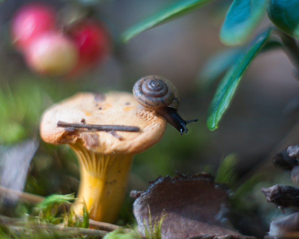 Photograph by Динара Зуйкова