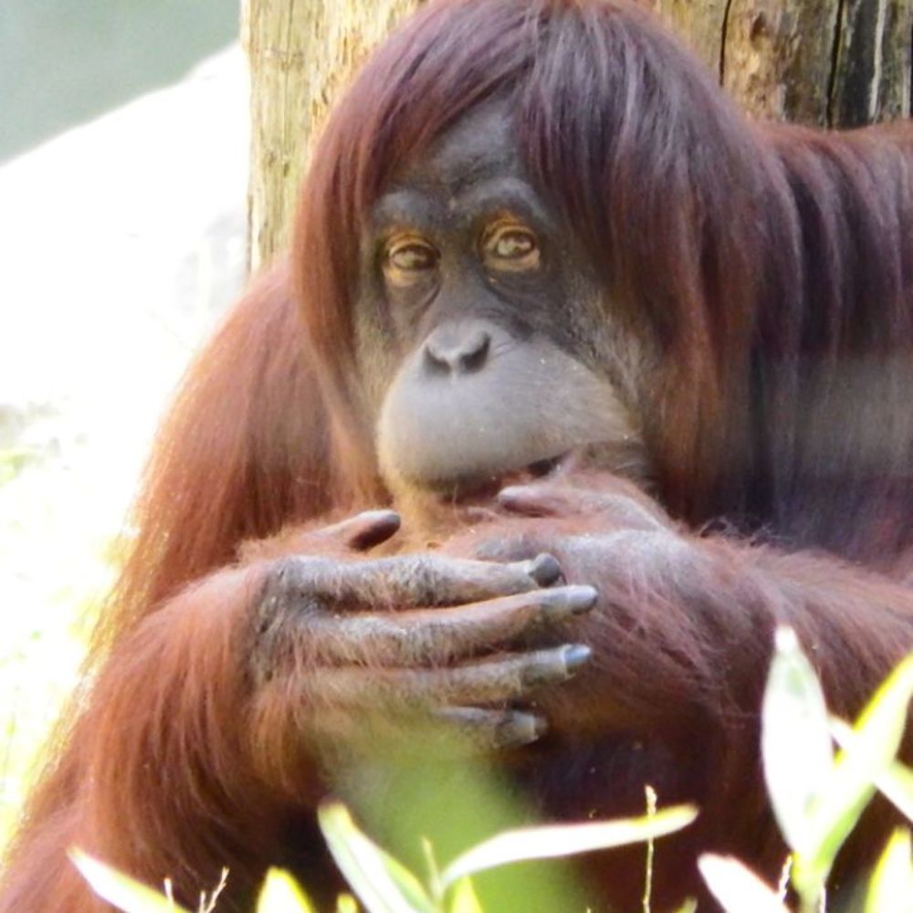 Photograph by Vitalii Kaznin