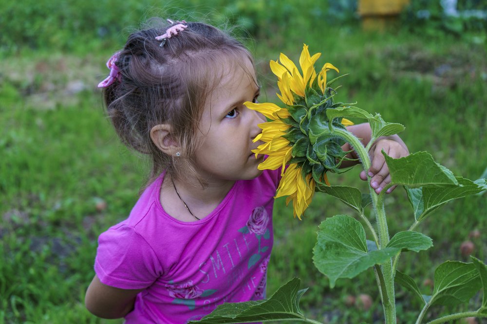 Photograph by Александр Фабер