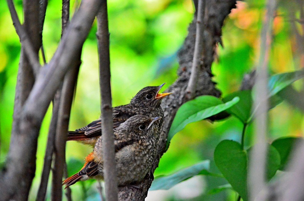 Photograph by Сергей Торхов
