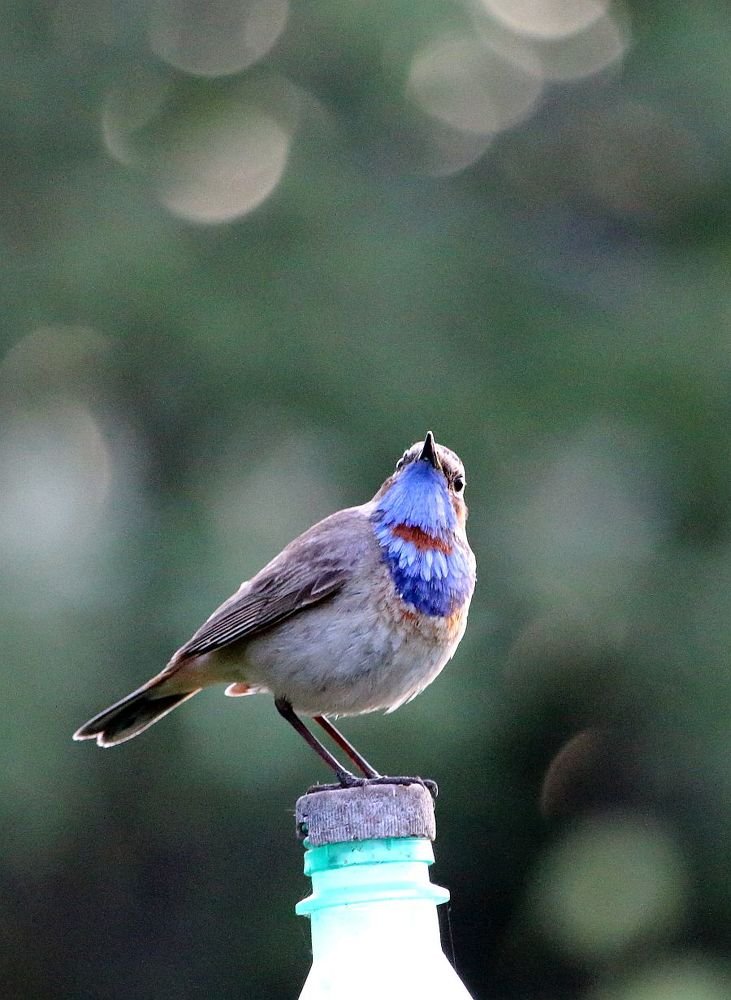 Photograph by Юрий Варюхин