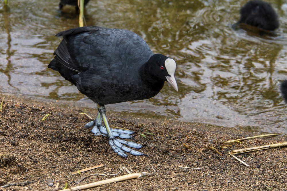 Photograph by Волдыкова Людмила