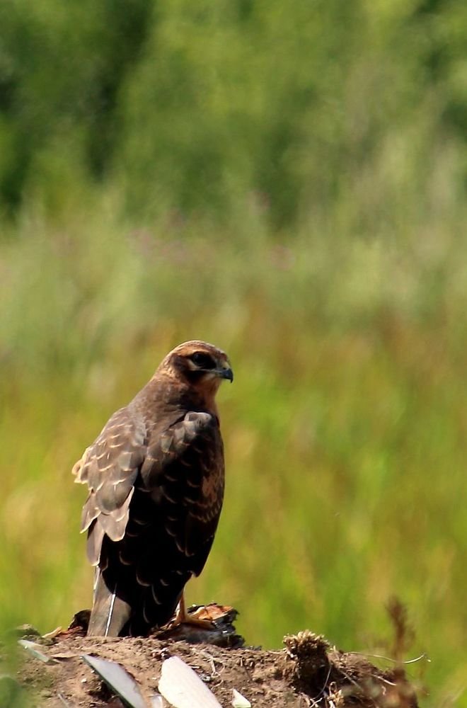Photograph by Юрий Варюхин