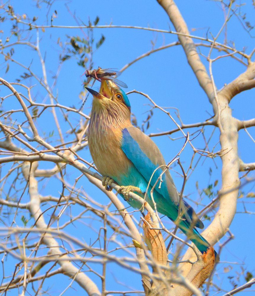 Photograph by Khalid Gurchani