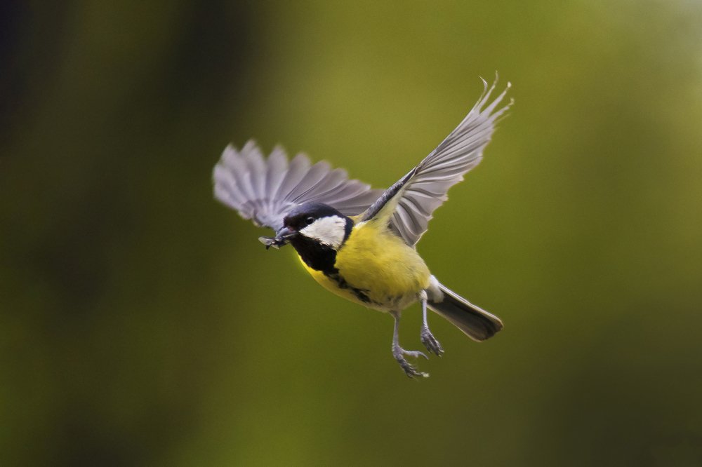 Photograph by Волгина Елена