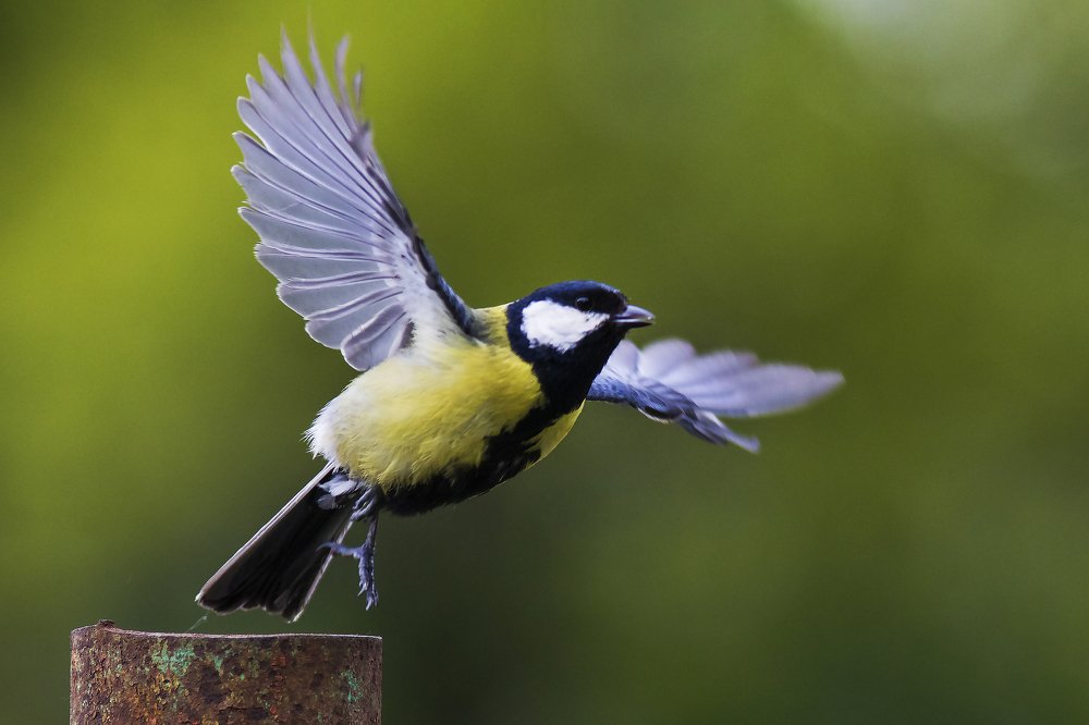 Photograph by Волгина Елена