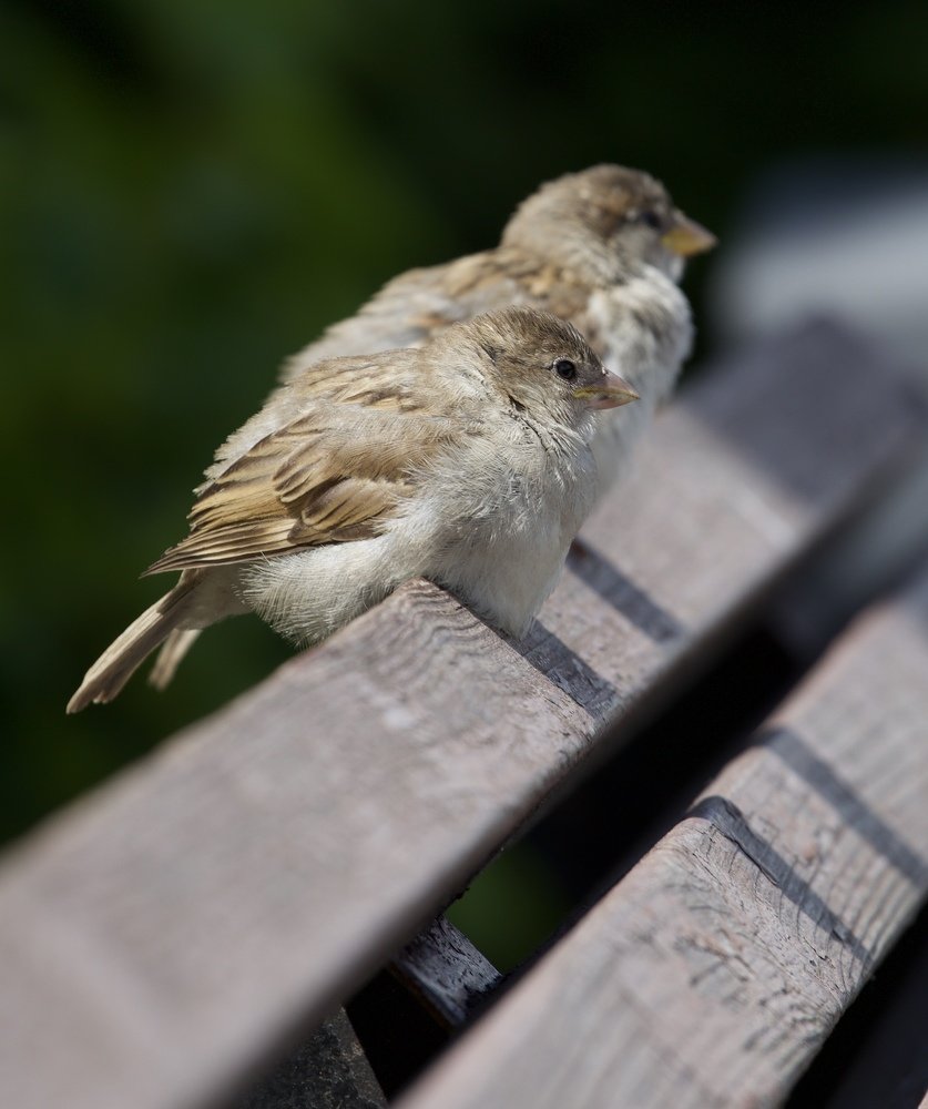 Photograph by Михаил