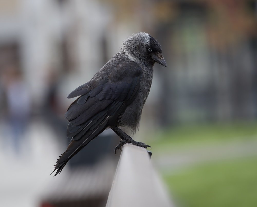 Photograph by Михаил