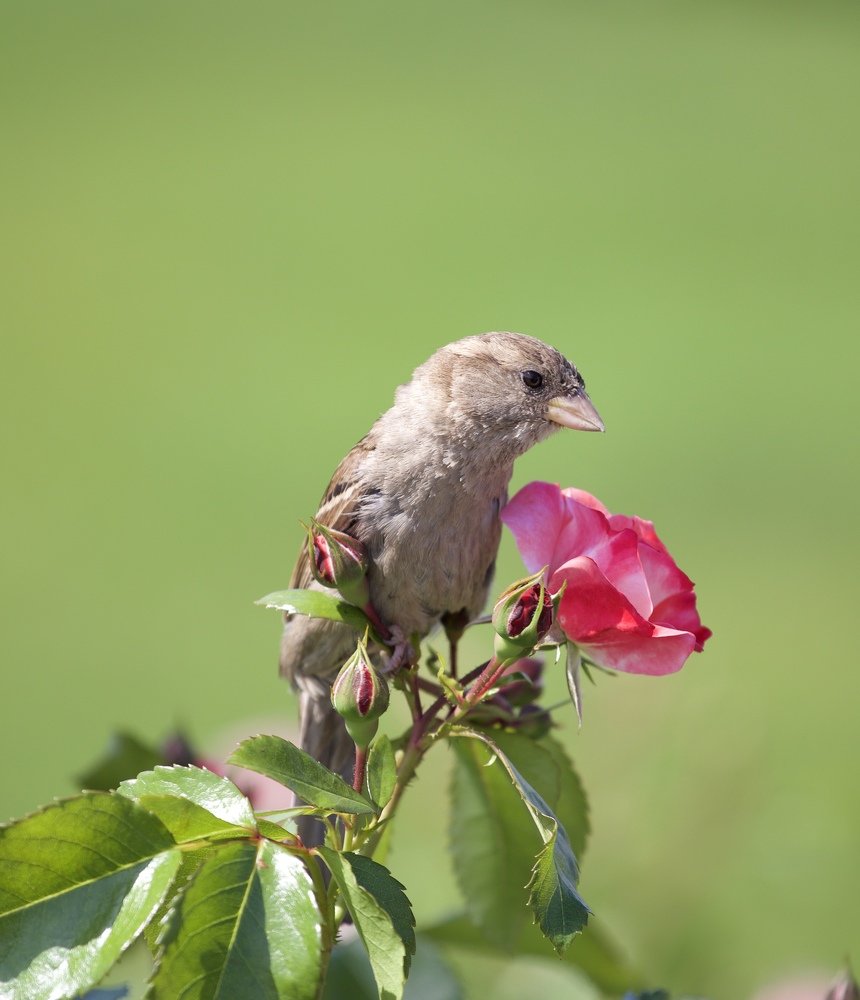 Photograph by Михаил