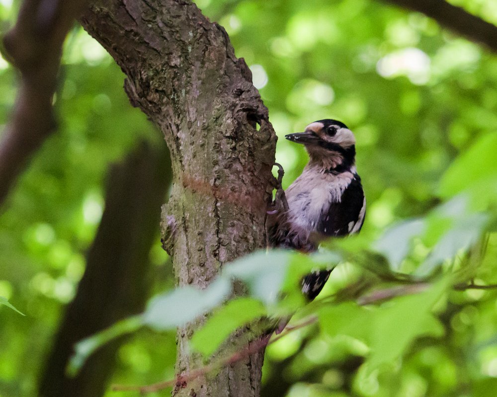 Photograph by Wojciech Grzegorczyk