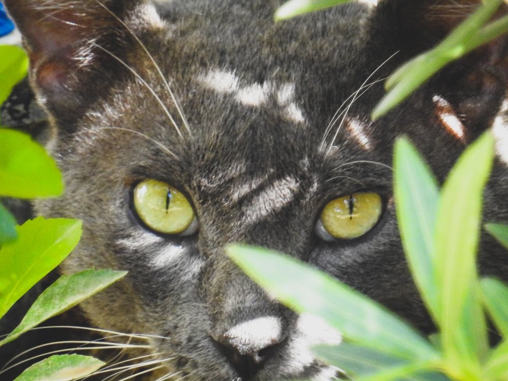 Фотография автора Gabriela Bonilla