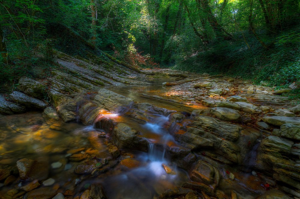 Photograph by Александр Аседач