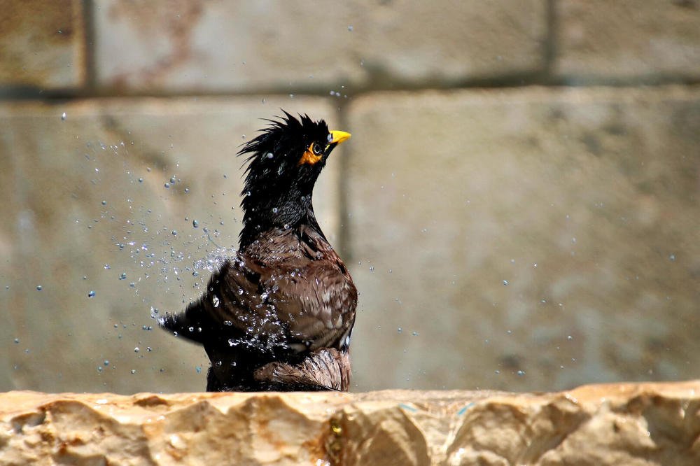 Photograph by Irina Radzinskaya