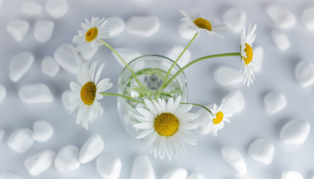 Фотография автора Михайло Павленко