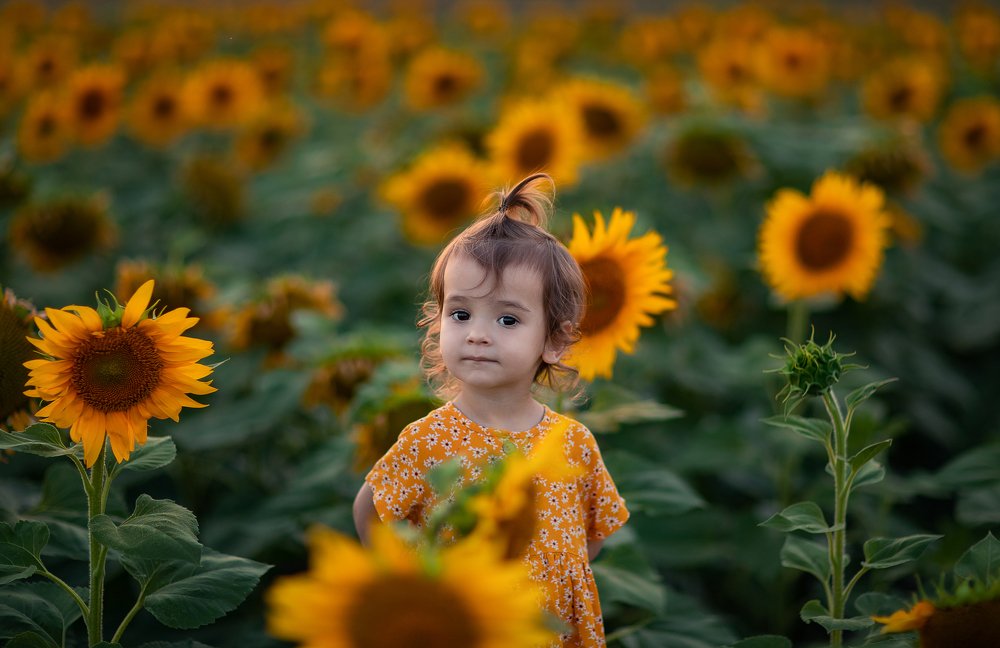 Photograph by Елена Штрахова