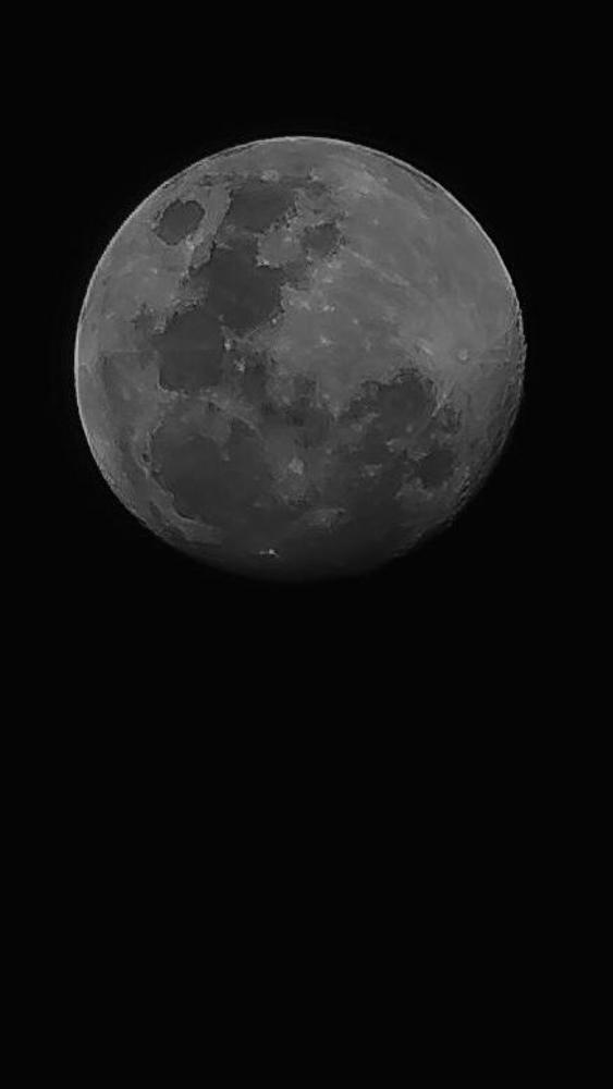 Photograph by mohammad javad kaffashyan
