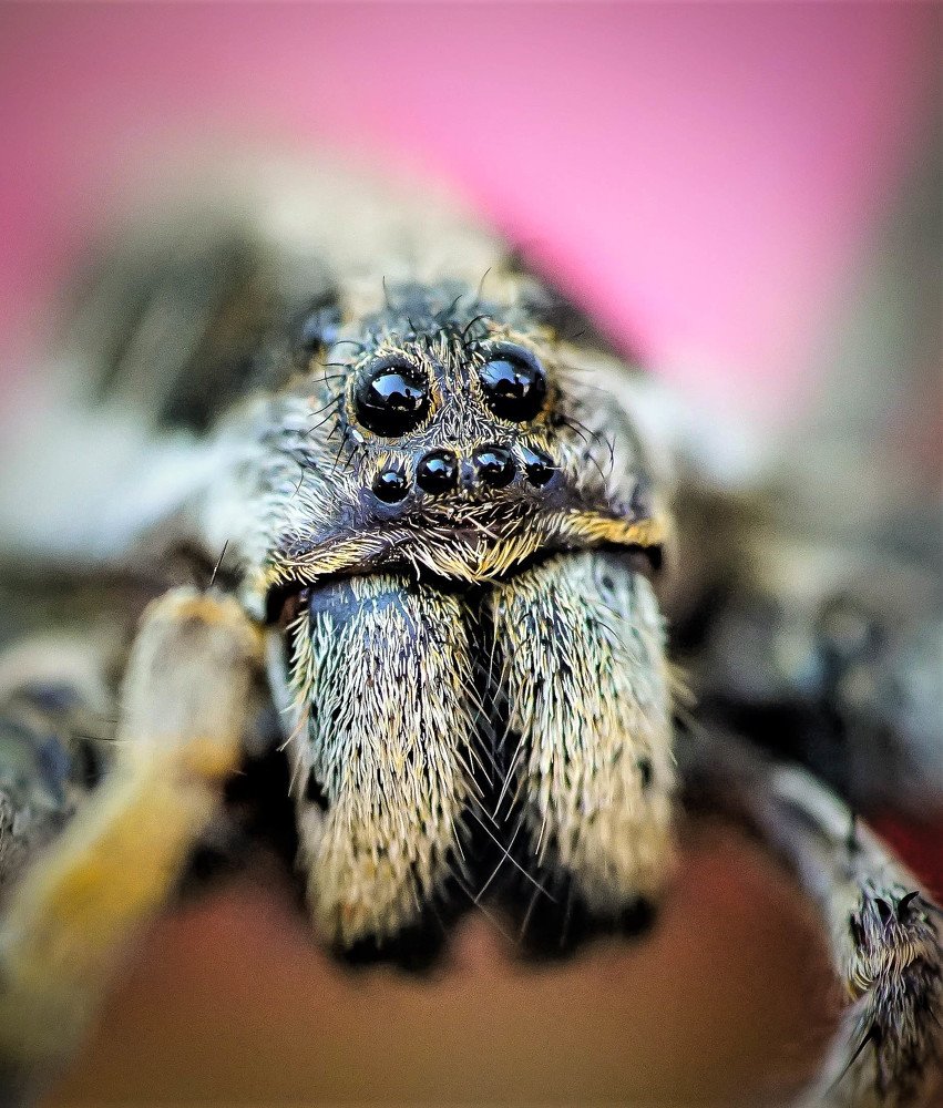 Photograph by Karina Elena Bergagna