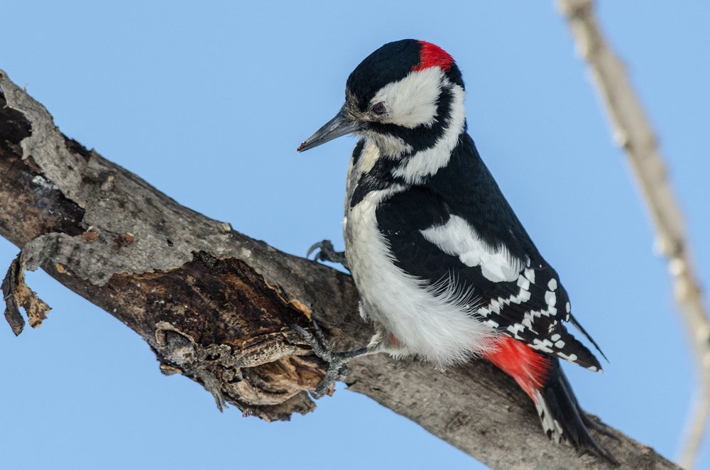 Photograph by Виктор Чернюк