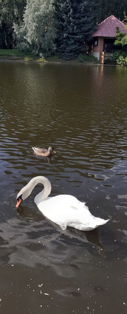 Photograph by Любовь Макарова