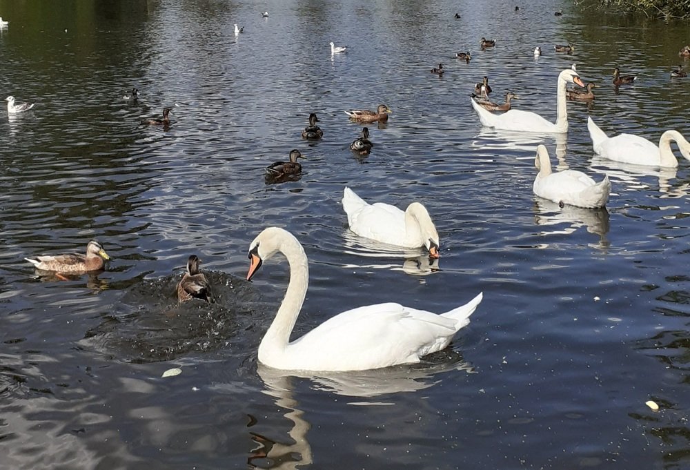 Photograph by Любовь Макарова