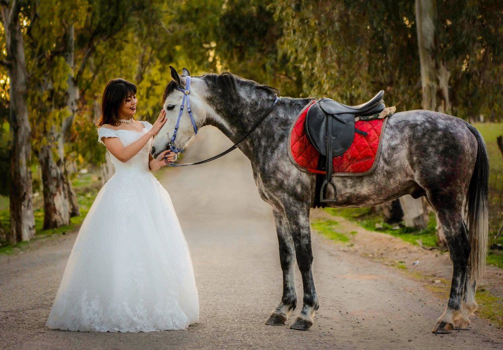 Photograph by KHALIFA MOHAMED