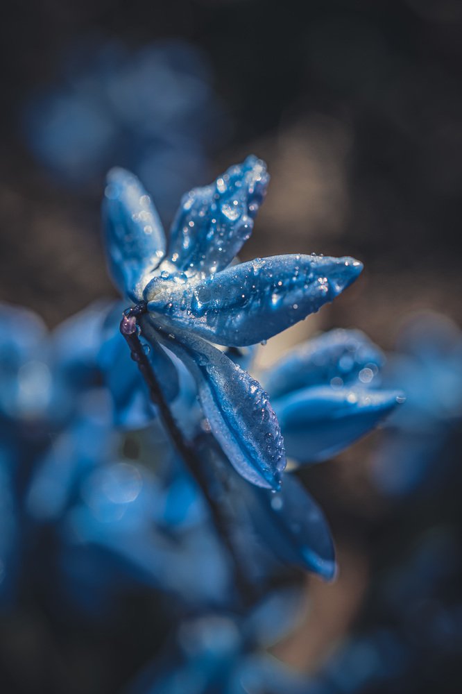 Photograph by Ксения Леонова