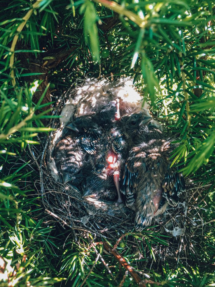 Photograph by Ксения Леонова