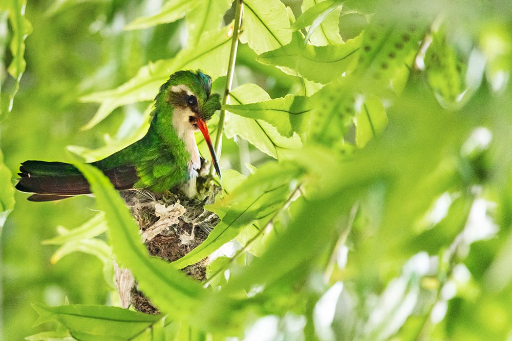 Photograph by Felipe Augusto