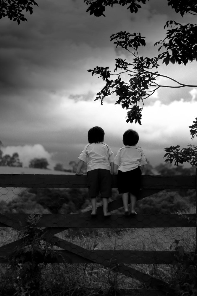 Photo #4847832
