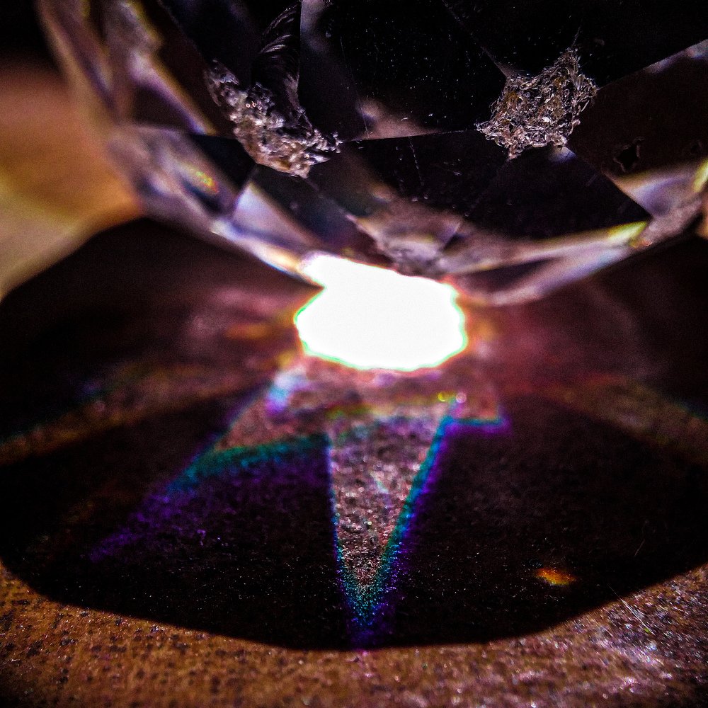 Photo #4847908