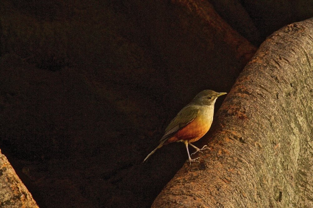 Photograph by Juan Pavlovsky