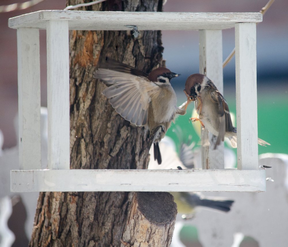 Уходи я тебя не люблю