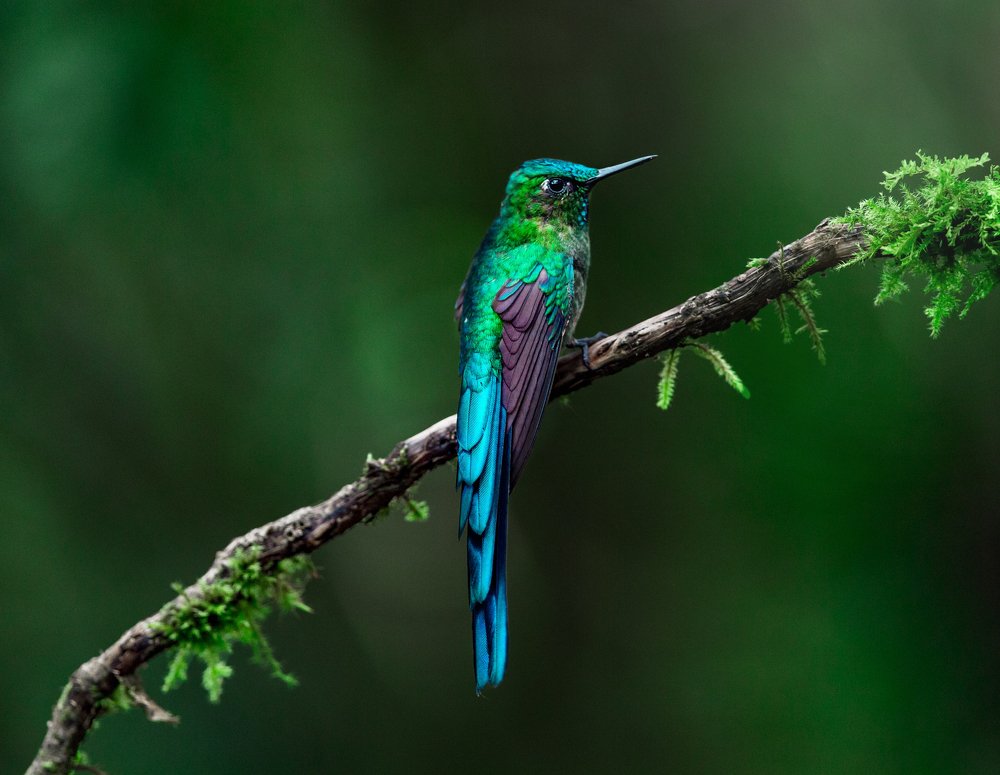 Photograph by Кирина Елизавета