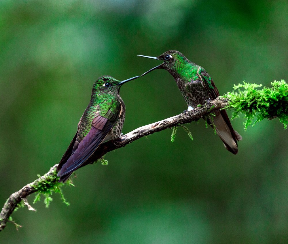 Photograph by Кирина Елизавета