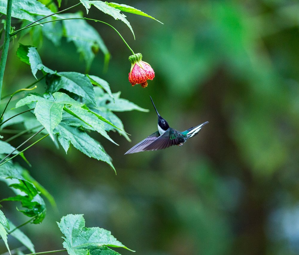 Photograph by Кирина Елизавета