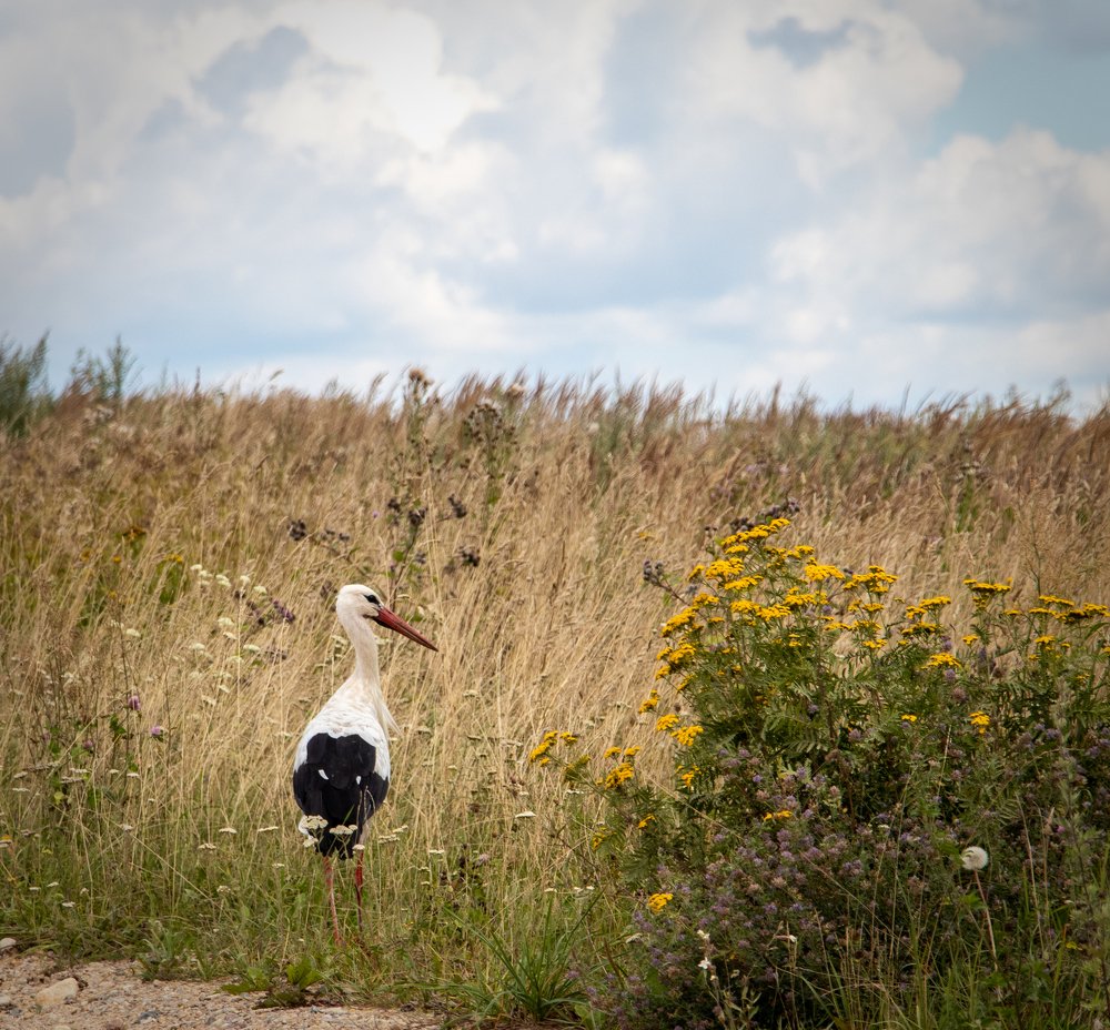 Photograph by Евгений Михеев