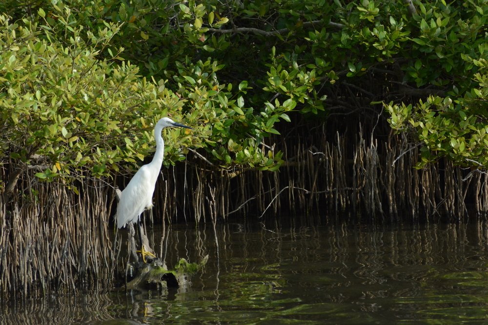 Photograph by Bhavana Sivayokan